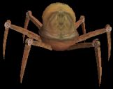 [Centurion Spider, 162x127 (4 kb)]